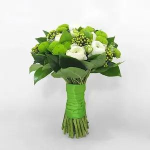 Лепестки любви